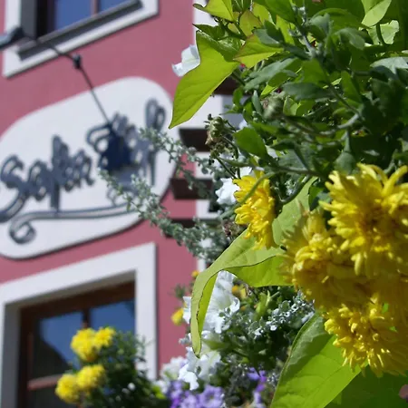 Hotel Safenhof Bad Waltersdorf