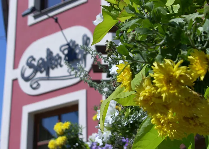 Hotel Safenhof Bad Waltersdorf